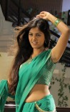 Monal Gajjar