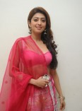 Praneetha