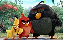 The Angry Birds Movie Teaser