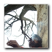 Tamil M.A. Movie Gallery