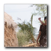 Paruthiveeran Movie Gallery