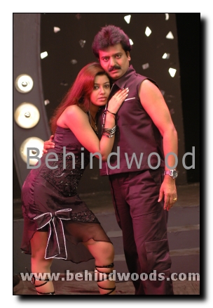 Solli Adippen Gallery