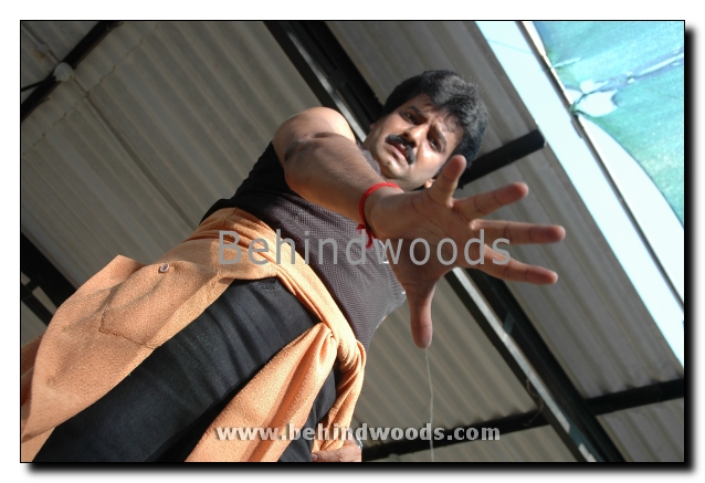 Solli Adippen Gallery