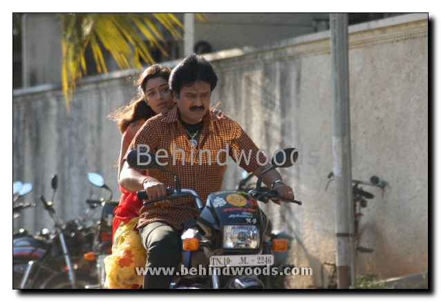 Solli Adippen Gallery