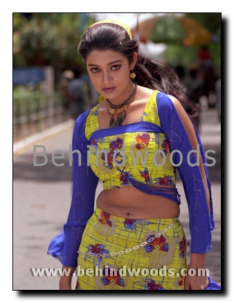 Solli Adippen Gallery