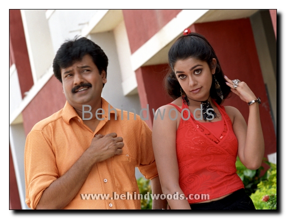 Solli Adippen Gallery