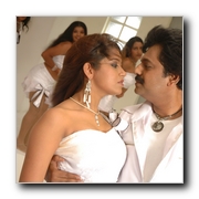 Solli Adippen Gallery