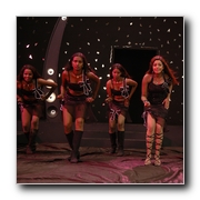 Solli Adippen Gallery