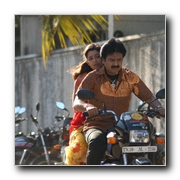 Solli Adippen Gallery