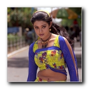 Solli Adippen Gallery