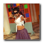 Solli Adippen Gallery