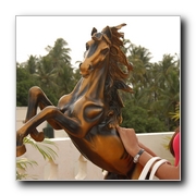 Vattaram Movie Gallery