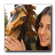 Vattaram Movie Gallery