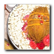 Sonia - Selvaraghan Wedding Gallery