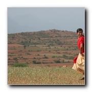 Paruthiveeran Movie Gallery