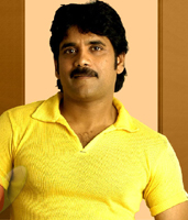 telugu-cinema-movie-news-nagarjuna