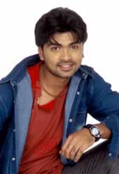 Simbu
