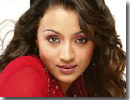 Actress Trisha Article