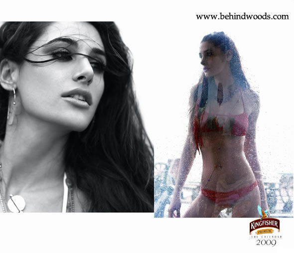 Kingfisher Calender 2009 images