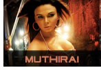 Muthirai
