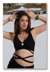 Naan Avan Illai II Movie - Images