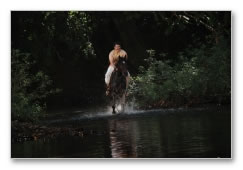 Pazhassi Raja - Movie Gallery