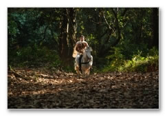 Pazhassi Raja - Movie Gallery