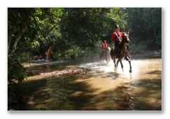 Pazhassi Raja - Movie Gallery