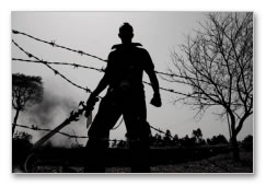 Porkkalam - Movie Gallery