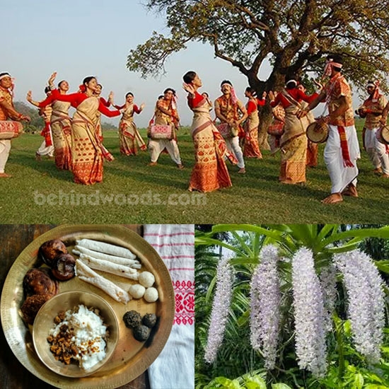 Assamese New Year / Bohag Bihu
