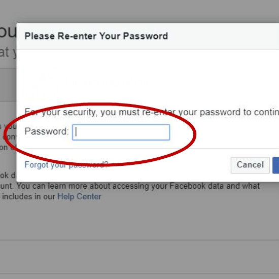 Enter Facebook password