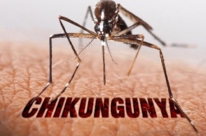 146 cases of Chikungunya, 87 of Dengue reported in Delhi