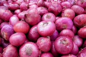 8000 metric tonnes onion rot in open air in Bhopal