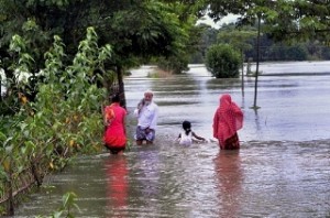 Assam floods: death toll rises to 50