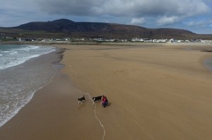 Beach reappears 33 years after vanishing into ocean