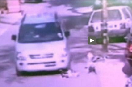 CCTV captures man crushing puppies under car wheels