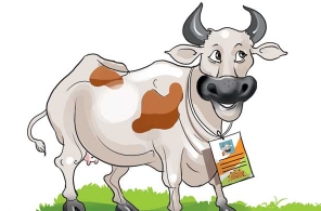 Centre proposes Aadhaar for cows