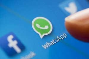 Congress leader from Goa shares porn on WhatsApp group