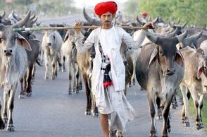 Cow vigilantes attack three men in Delhi