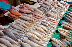 Fisheries dept says no to Kotturpuram fish market