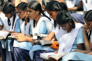 Govt order issued for +1 public exam