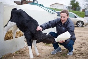 I'm not running for public office: Zuckerberg