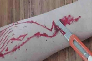 17-year-old jumps in front of train and kills self, Blue Whale suspected