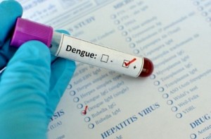900 dengue cases reported in a week in Delhi