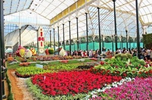 Bengaluru flower show have 30k visitors in single day