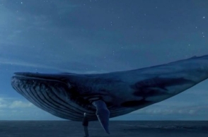 Blue Whale Challenge: 6 deaths reported in India so far