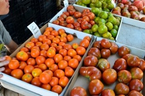 Congress sells tomatoes at Rs 10 per kg outside UP assembly