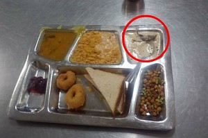 Dead mouse found in hostel food in IIT Delhi