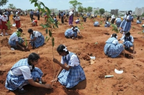 Delhi students to get up to 5 marks for planting trees