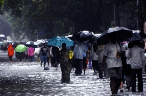 Flood halts Mumbai